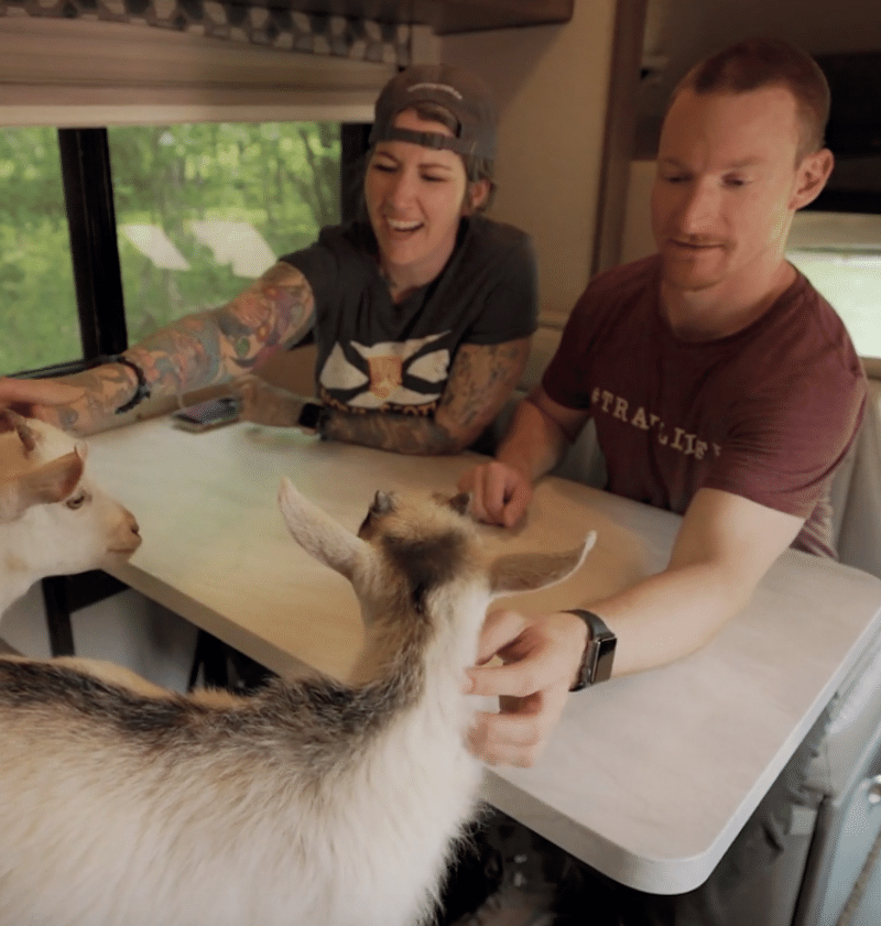 man and woman petting goats in an RV